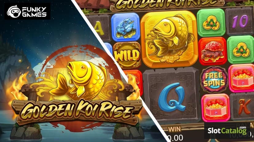 Funky Games Golden Koi Rise สล็อตและเกมไพ่